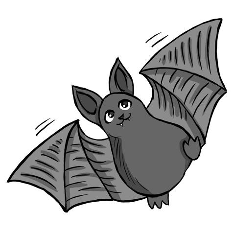 flaggermousse